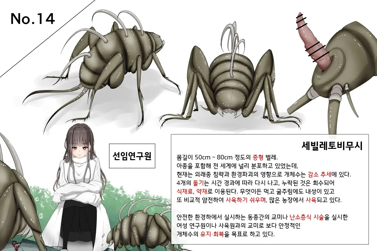 Insect Research Report